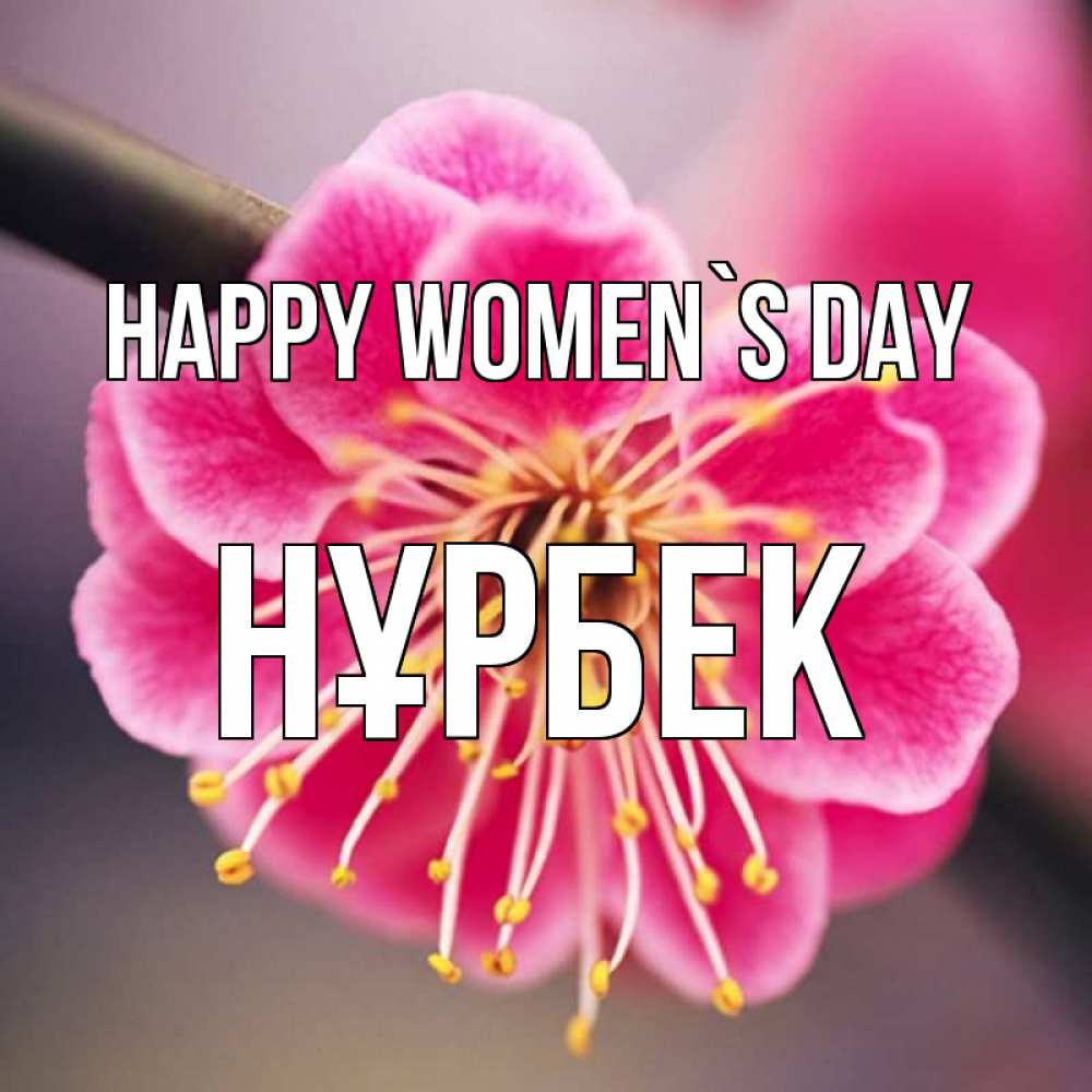 Greetings card с именем, НҰРБЕК happy women`s day цветы Greetings with text for free download 